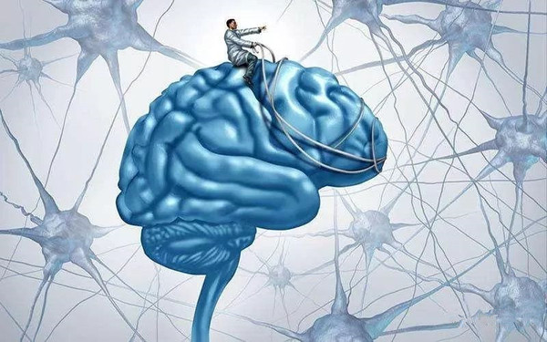 在这两个神经系统中,当一方起正作用时,另一方则起负作用,很好的平衡