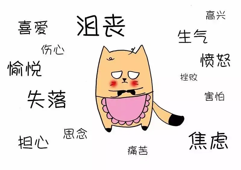 负面情绪对人的健康影响有多大